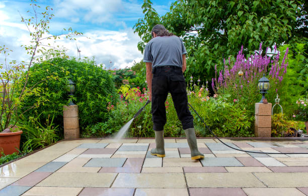 Best Driveway Pressure Washing  in Mexia, TX
